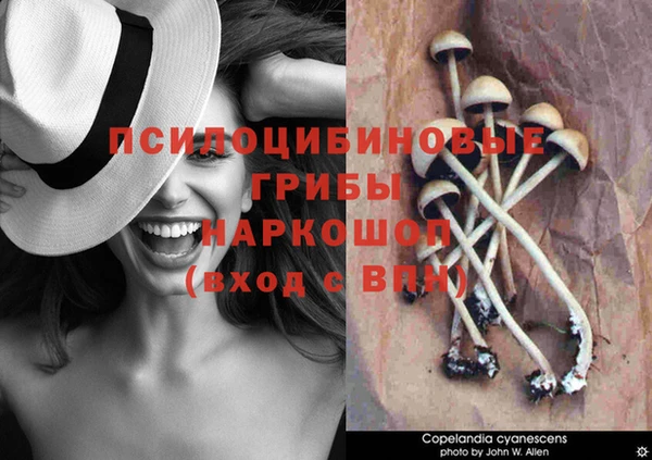 герыч Алексин