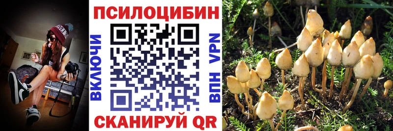 Псилоцибиновые грибы мицелий  Краснозаводск 